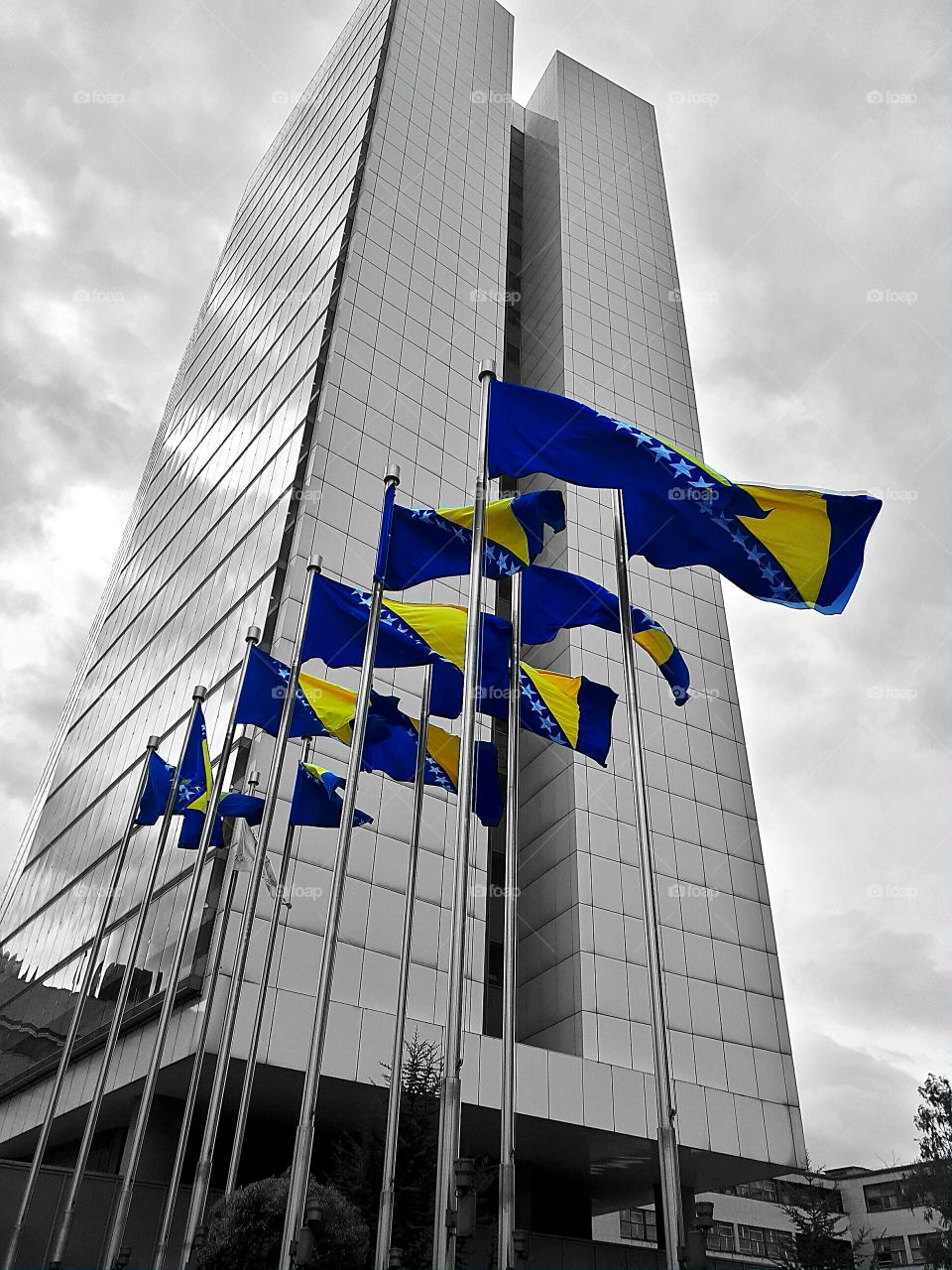 the flag and colors of my state Bosna i Hercegovina