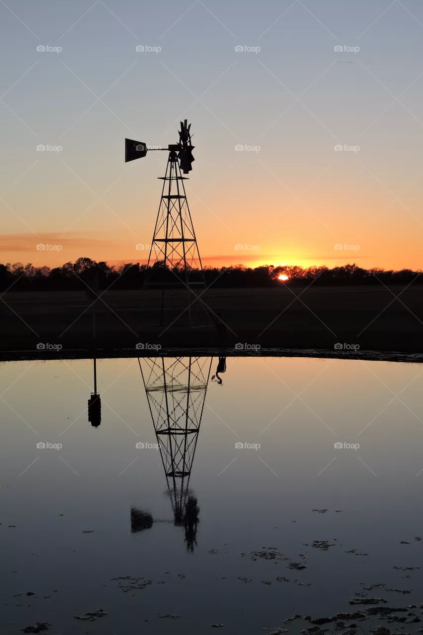 sunset