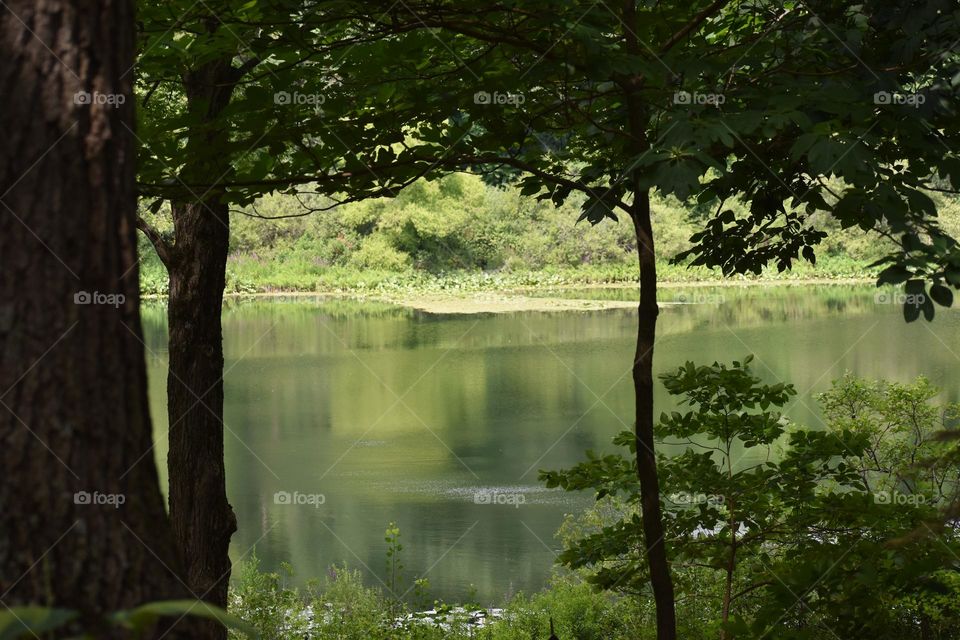 Sun reflecting on a lake