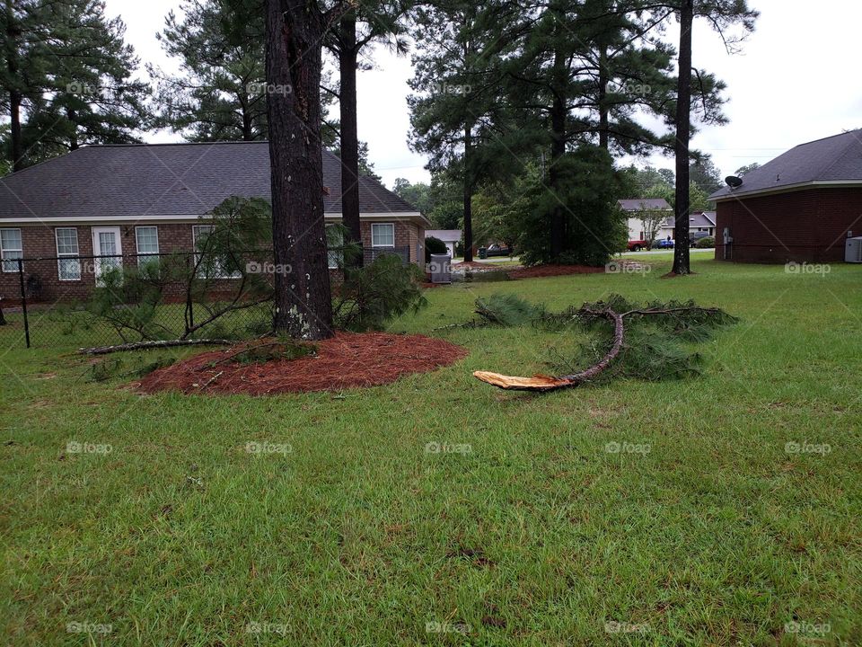 huracán dejó troncos tirados