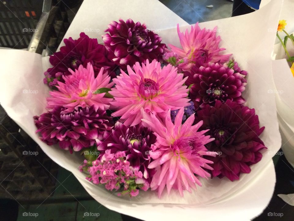 Elevated view of pink flowers