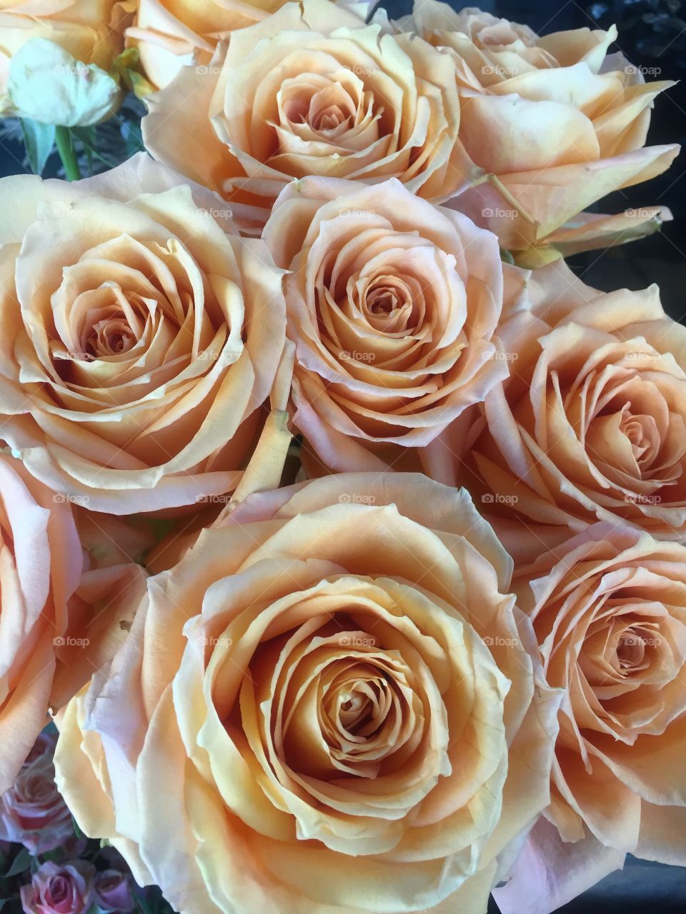 Peach roses. Bouquet