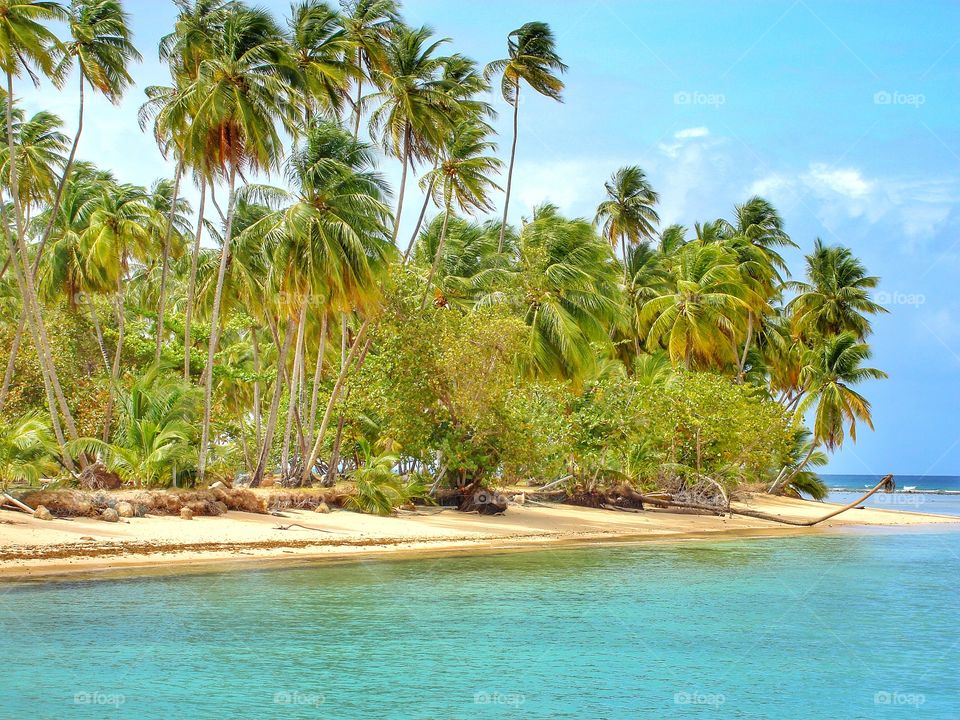 Pigeon Point Tobago