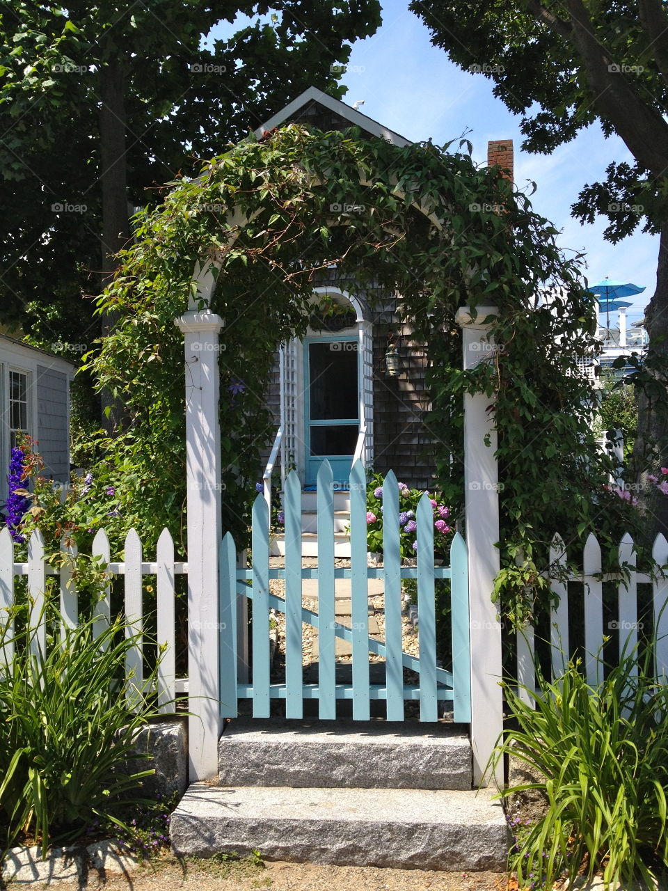 Seaside Cottage Charm