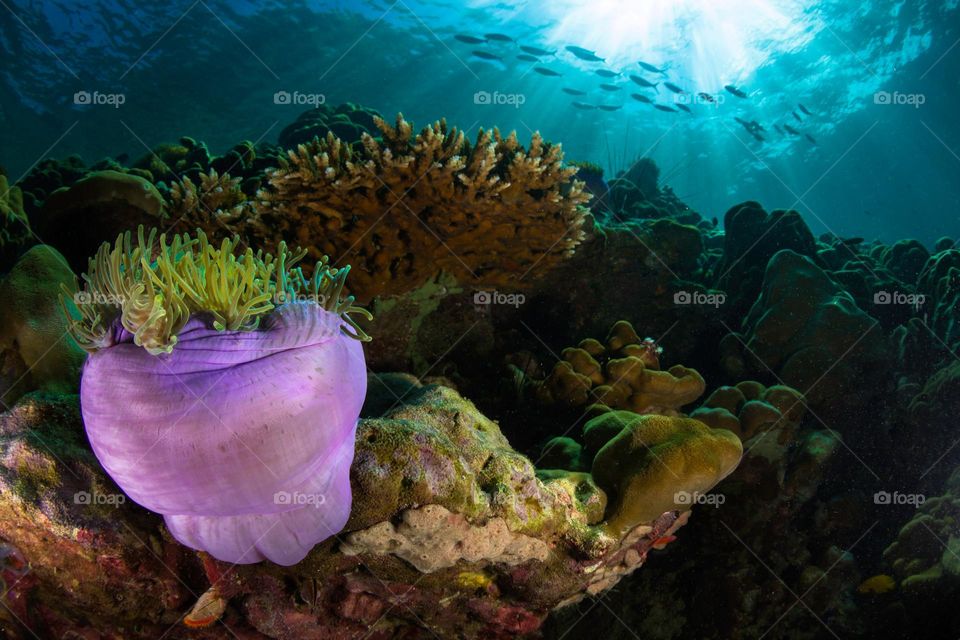 Finding Comfort In The Rhythm Of The Sea.