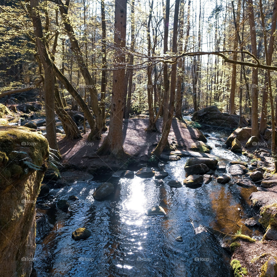 Sunny day in Bavaria 