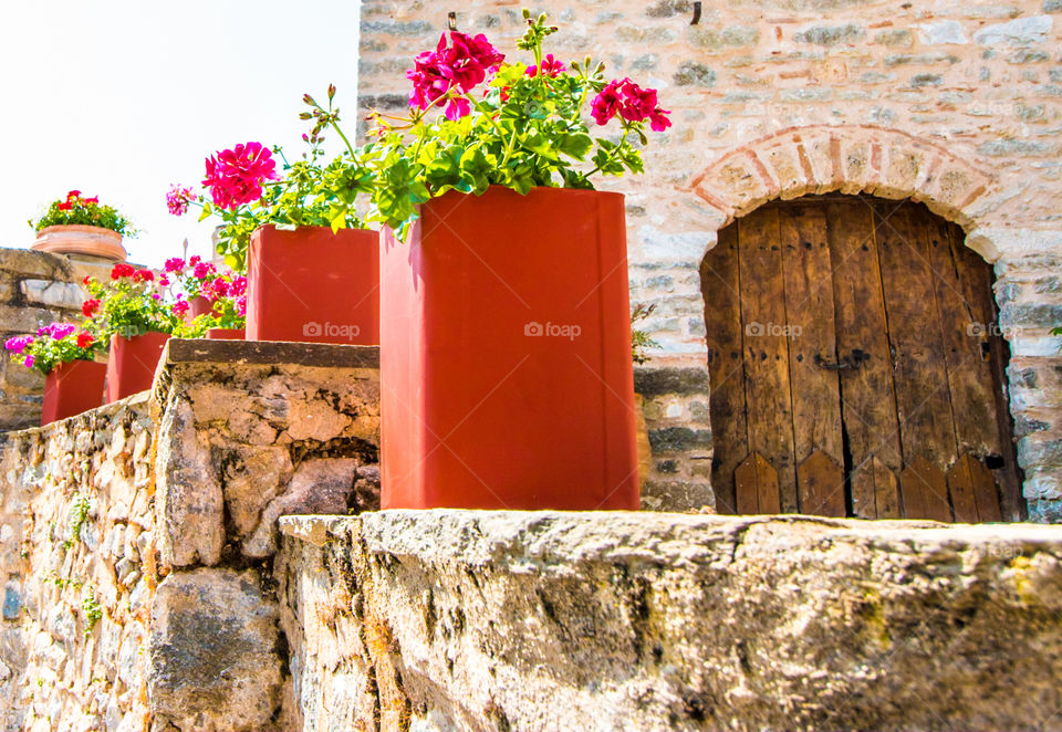 Red Geraniums In Flower Pots