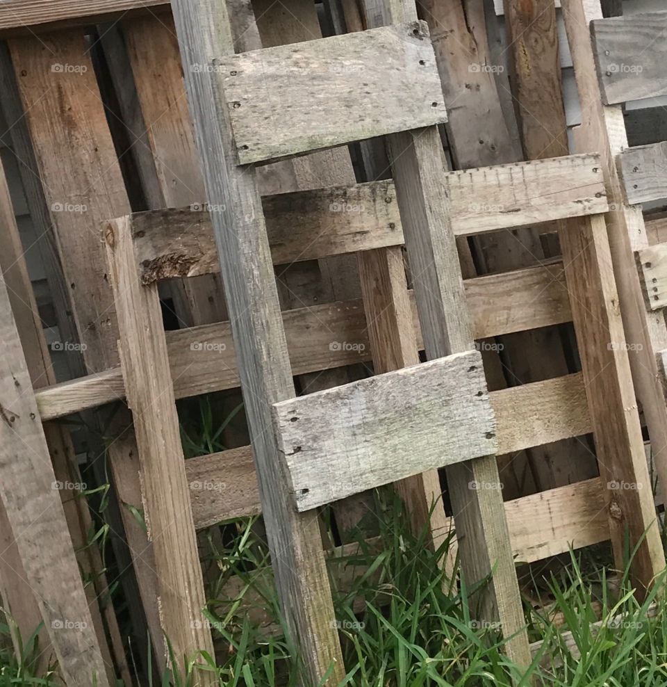 Collection of wooden pallets I have gathered and are waiting to be used in a 'diy' project that is yet to be determined!