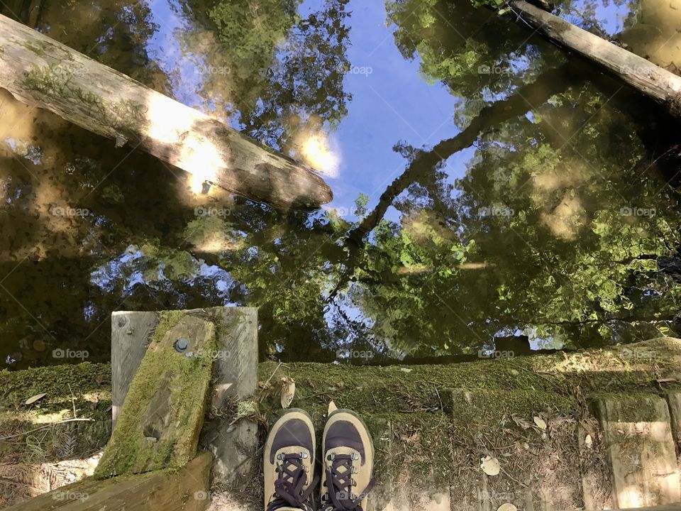 Surface of water and bridge 