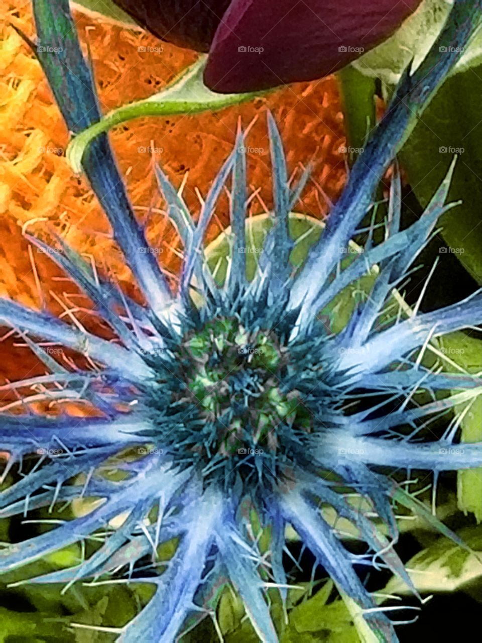 Blue flower in the arrangement