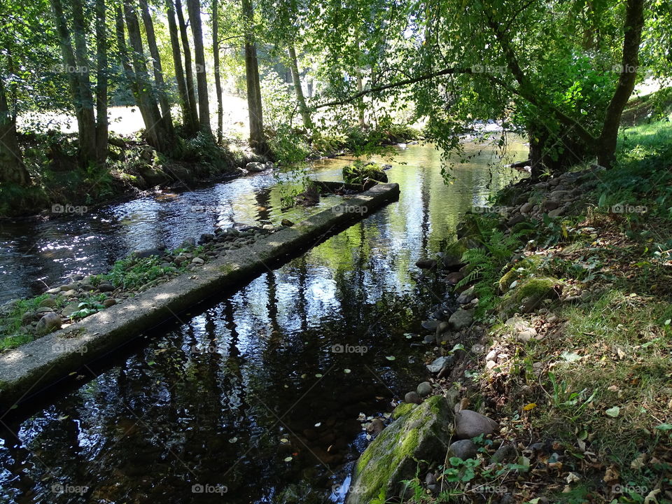 Kurpark in Bad Wildbad
