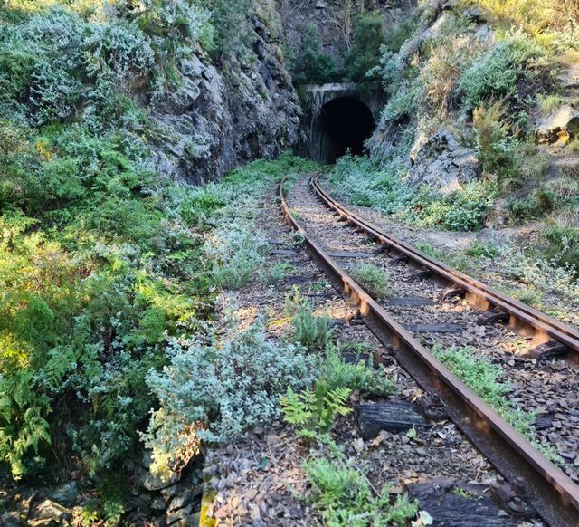 Train Tracks