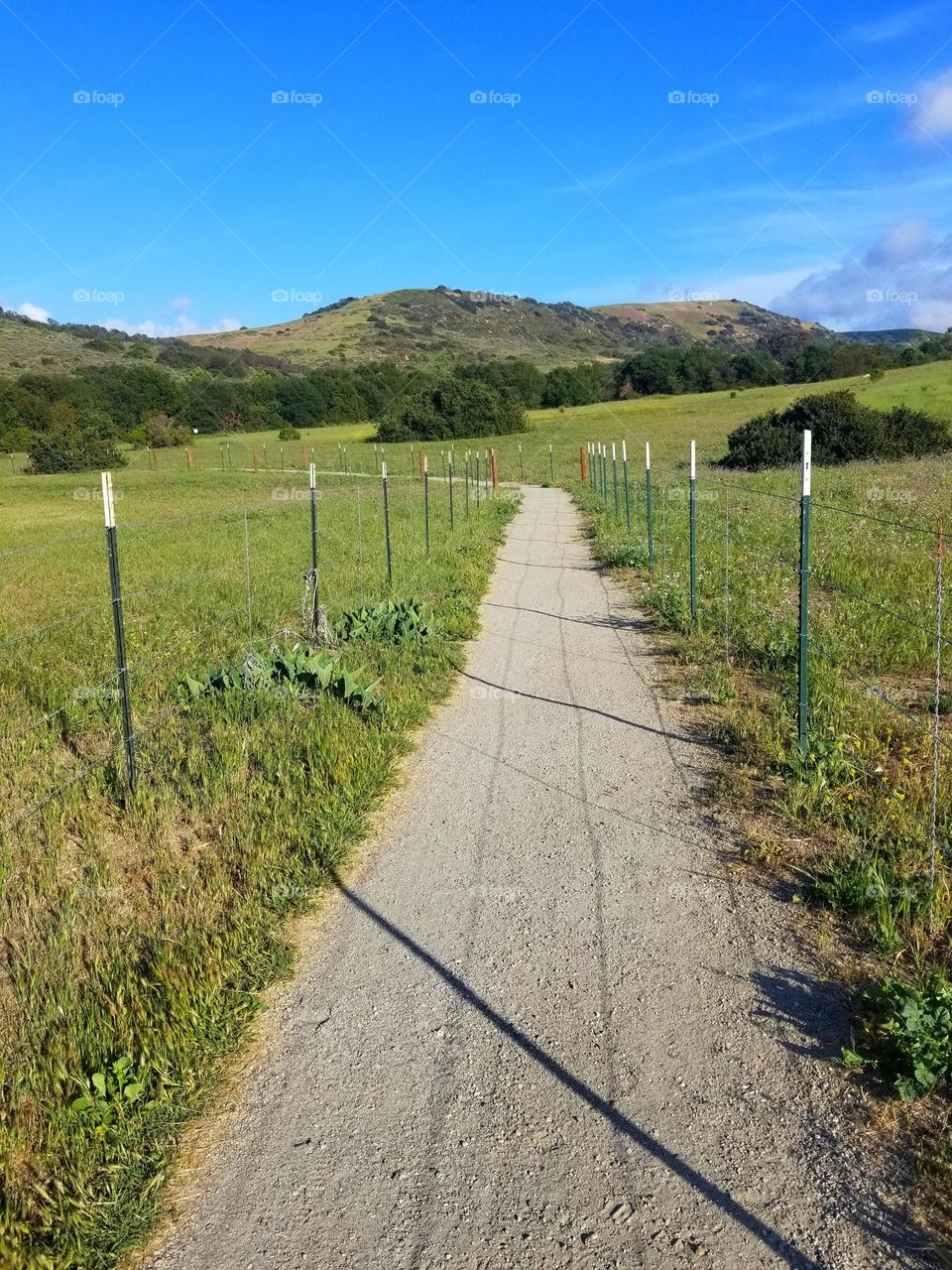 Go on a hike in the California Foothills