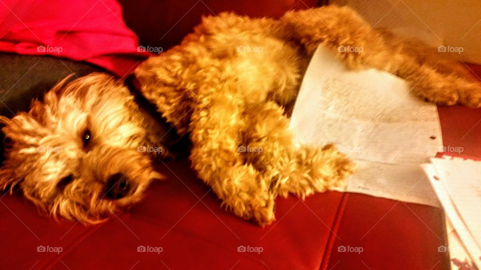 I will make no bones about it!