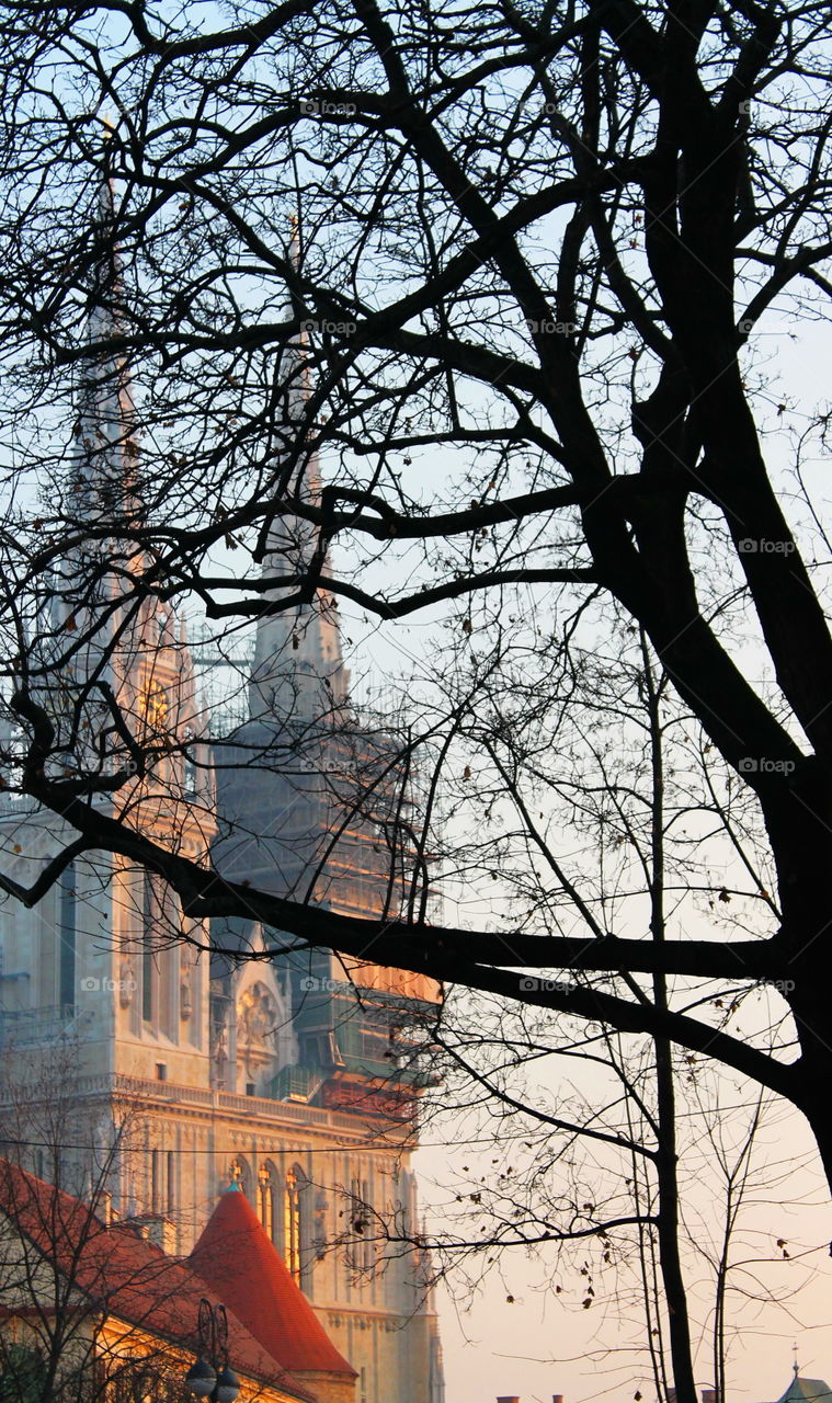 Winter view on the cathedral