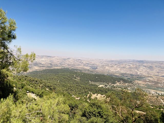 Great View