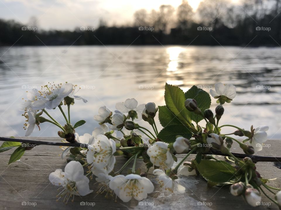 When spring’s time coming again.