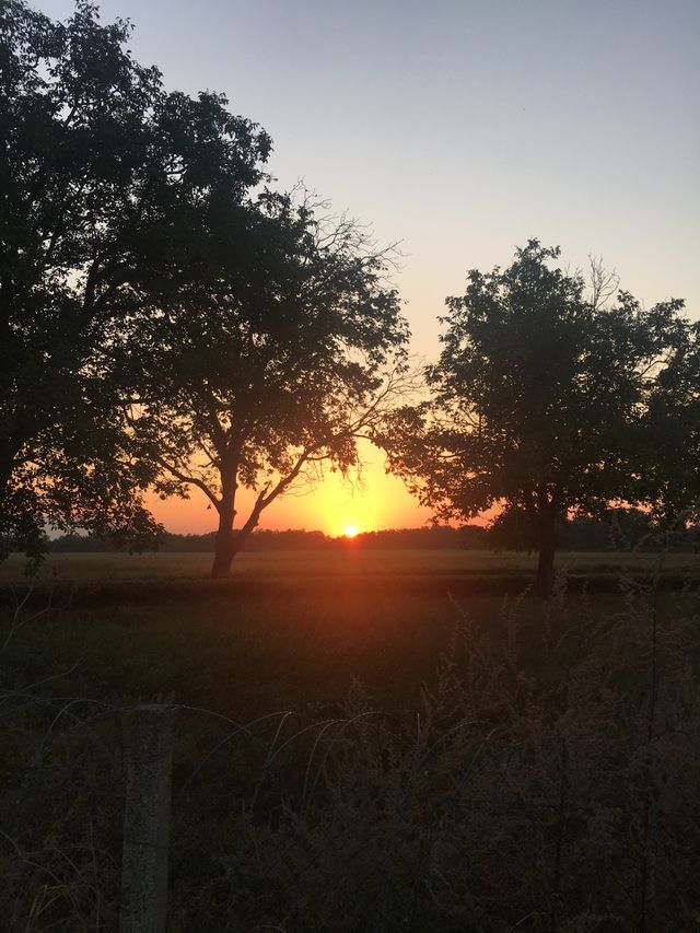 Good morning!