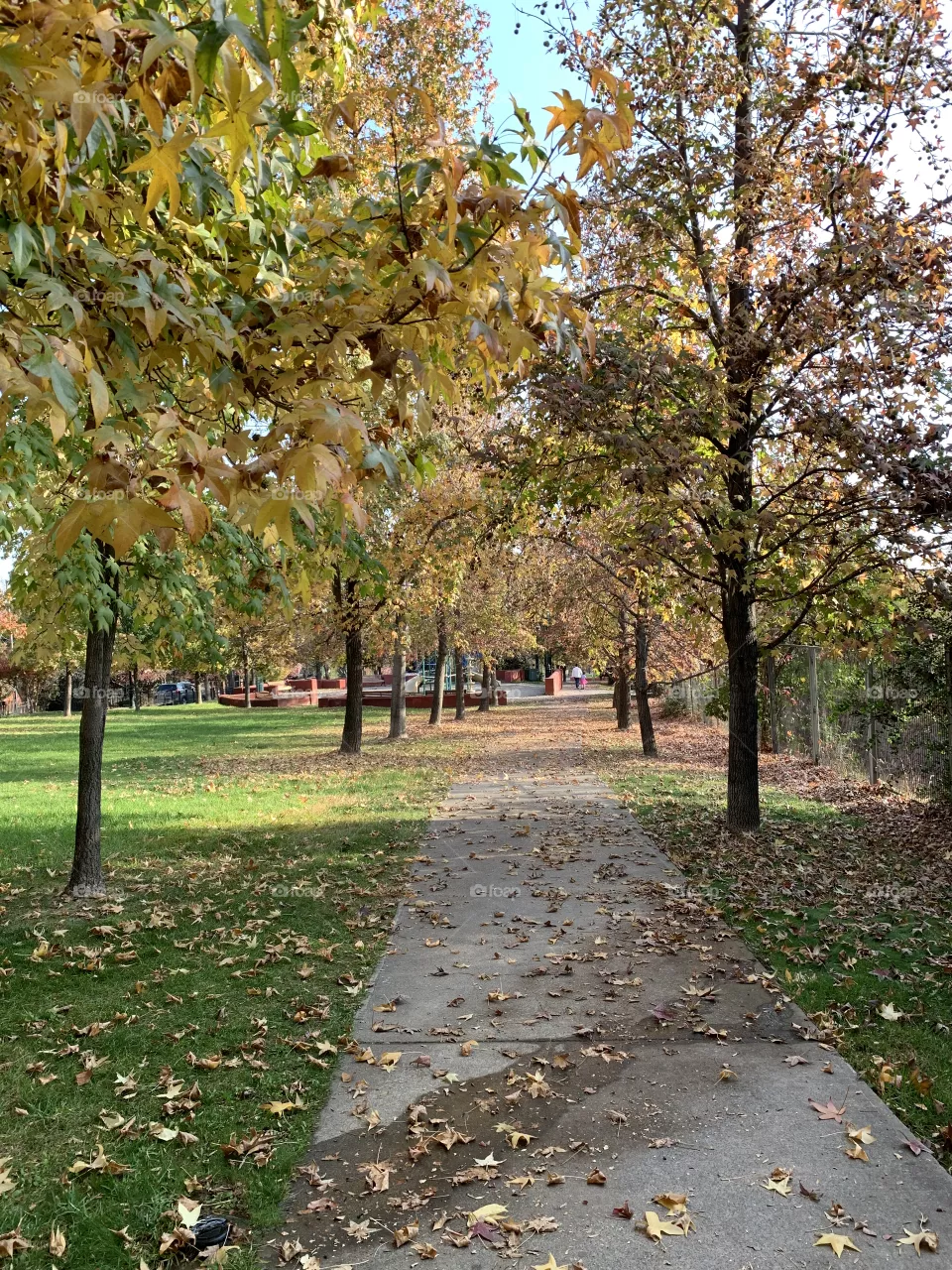 Otoño en la plaza