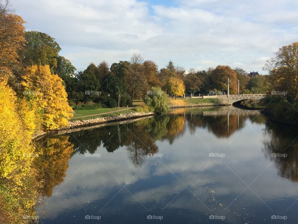 Autumn trees reflected in lake