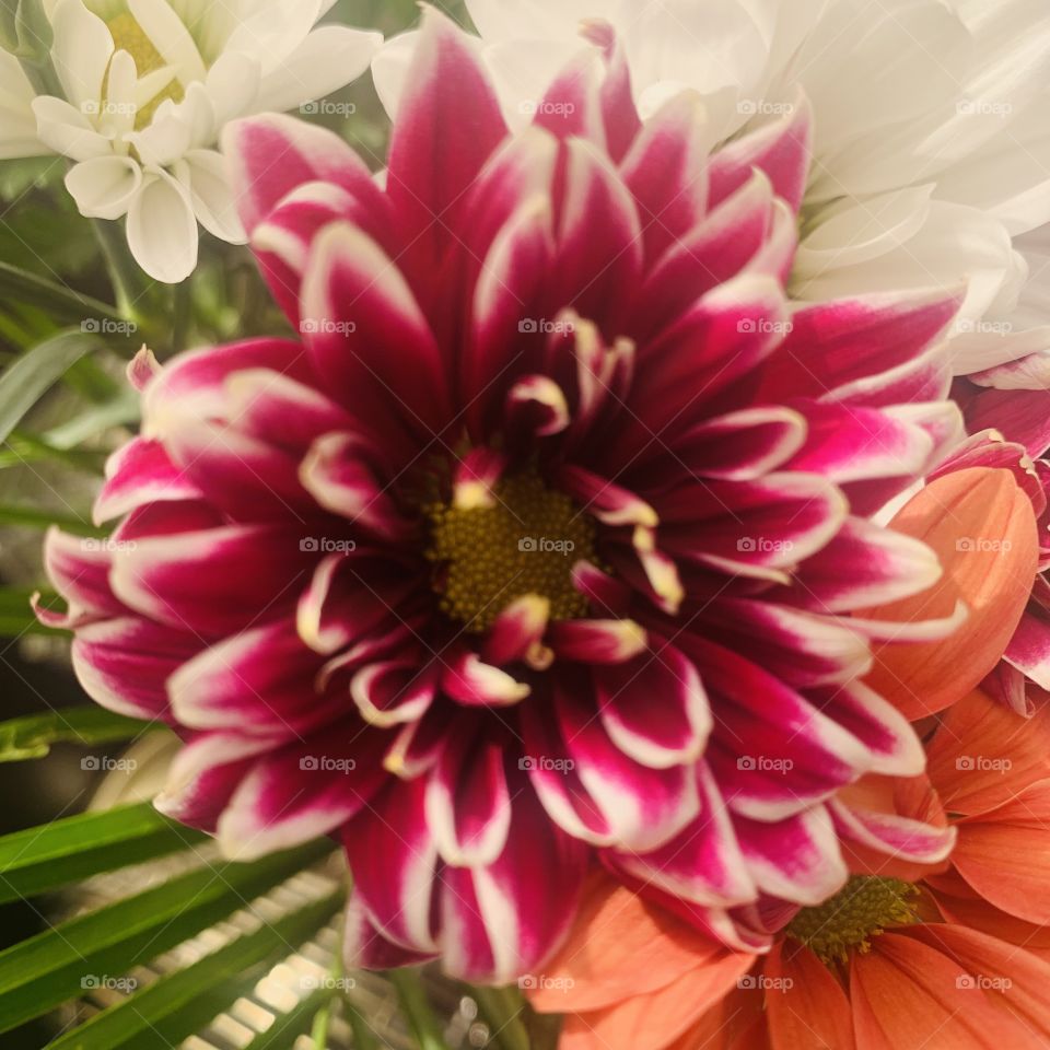 Calming Vibes 🧘🏼‍♀️