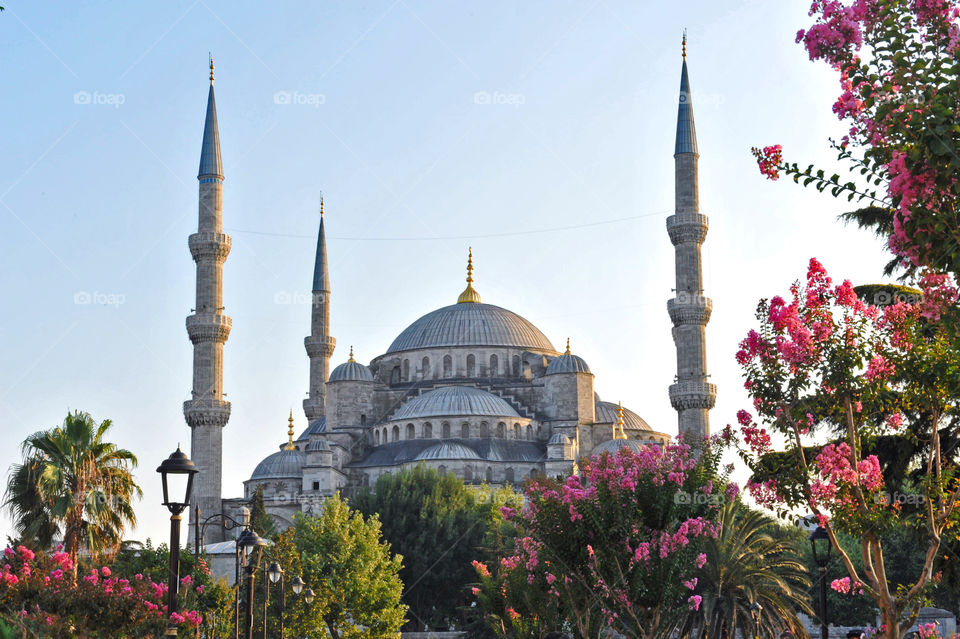 Blue mosques, Istanbul, turkey 