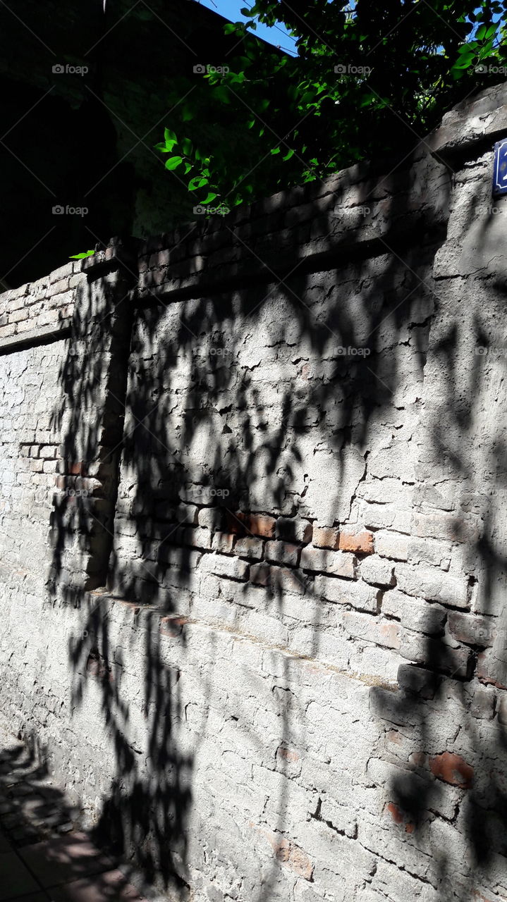 wall and shadow