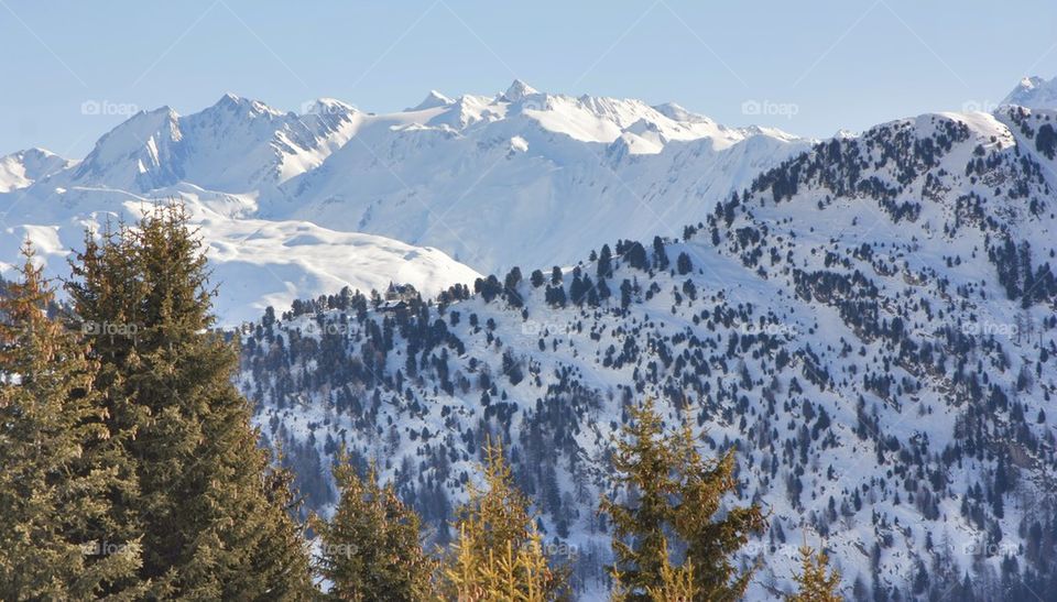 View of swiss alps