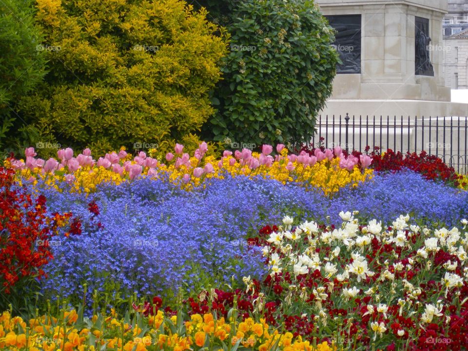 THE ST. JAMES PARK LONDON, ENGLAND