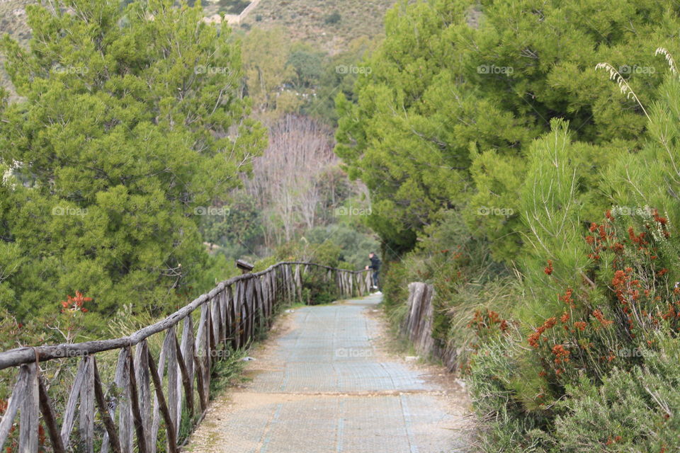 Trail in Parco Regionale Riviera di Ulisse, Comune di Sperlonga, Italy