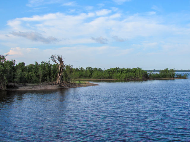 Island in the River