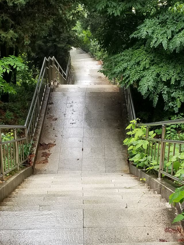 Park
