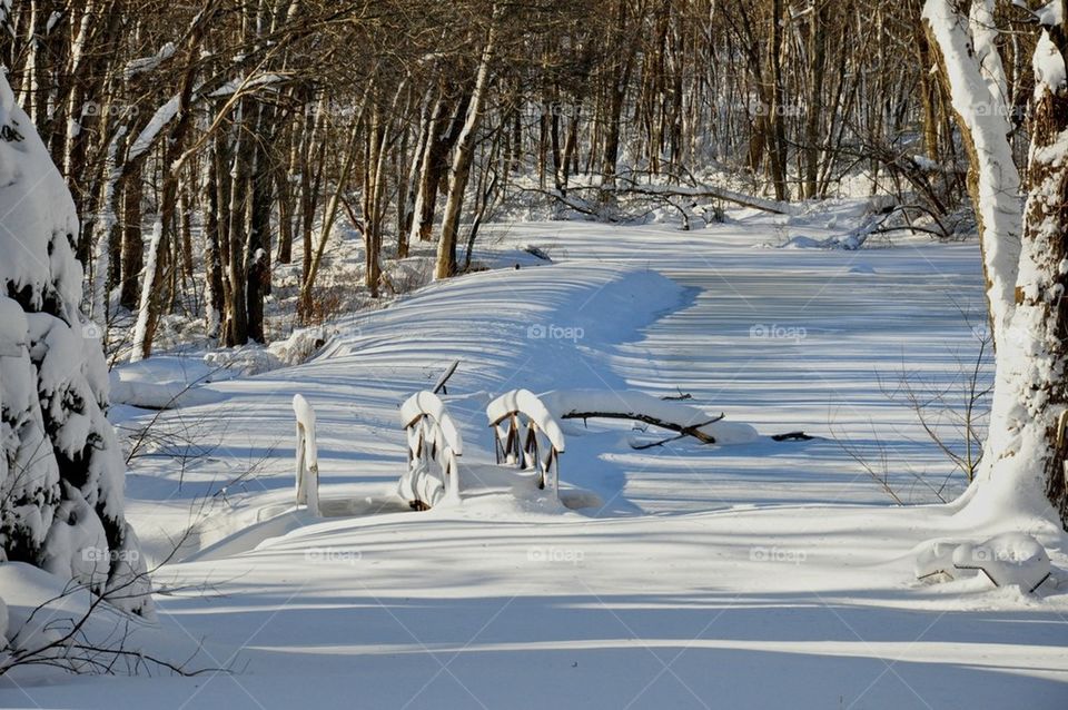 Winter walk