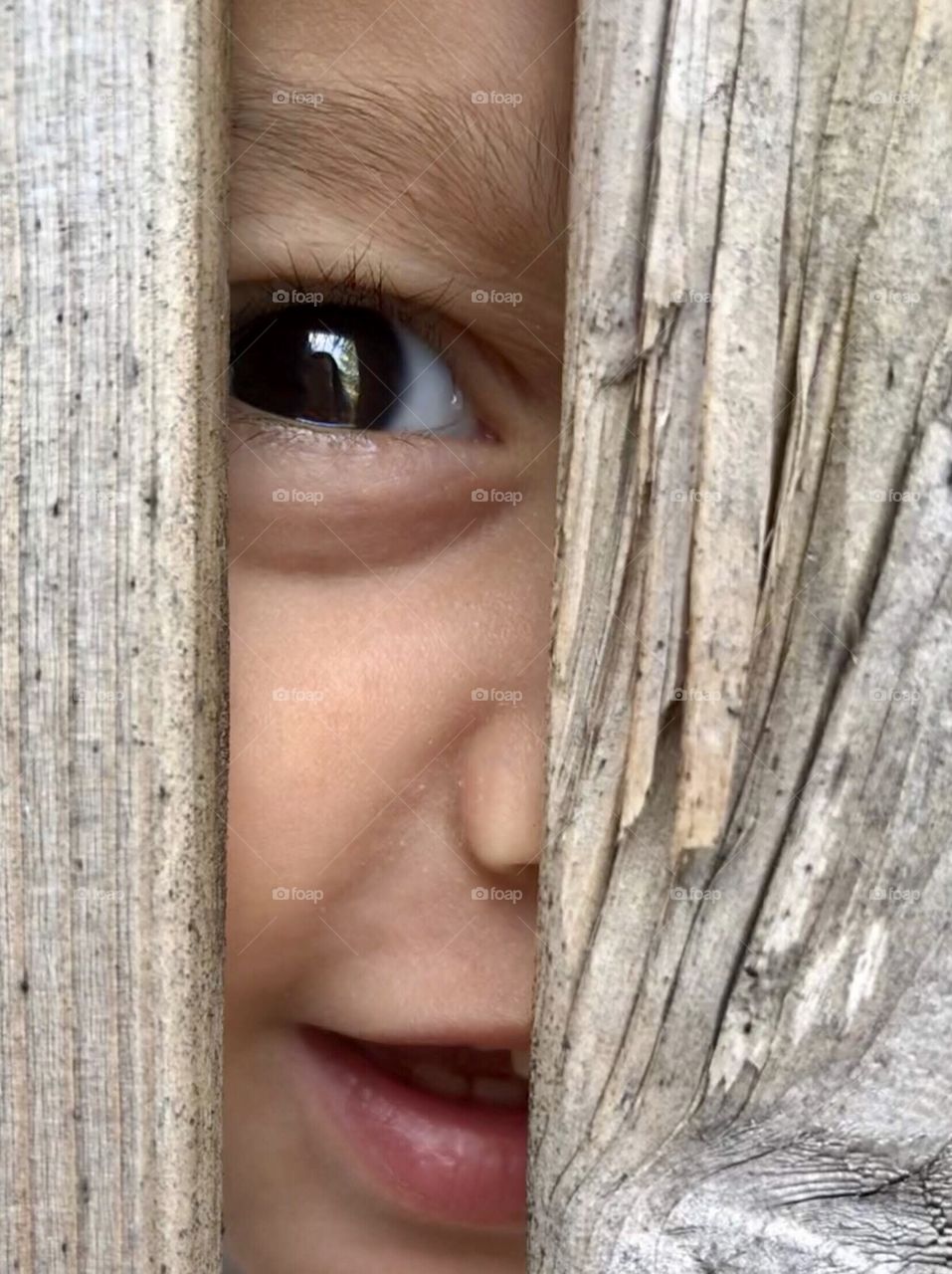 Boy looking between the boards of a fence