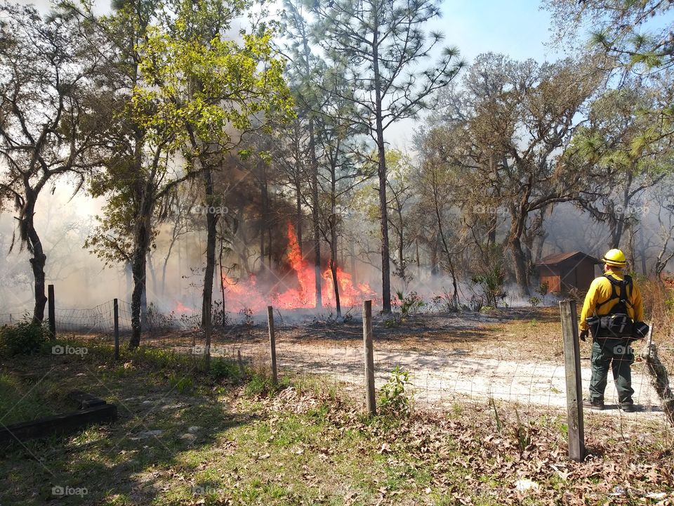 Taking Care Of Our Forests