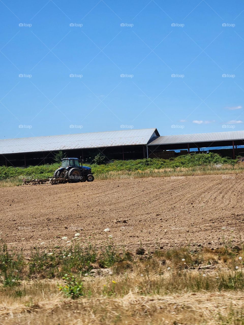 tractor on a dirt hill in front of a long barn building against blue sky background in the Oregon countryside