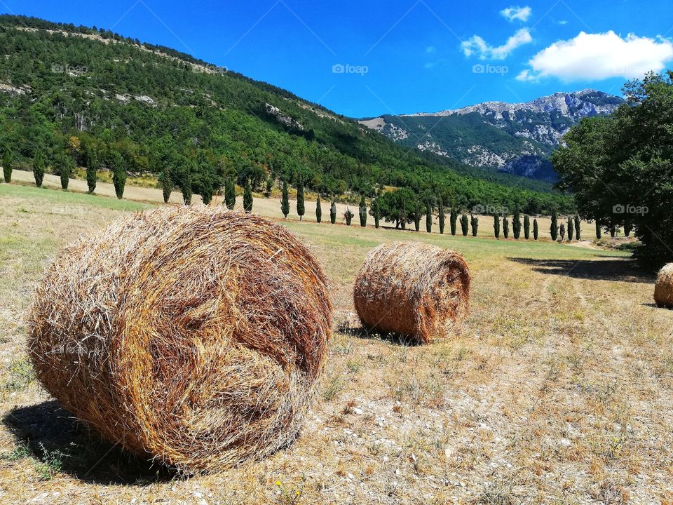 hay bales on a ground with harvested grain