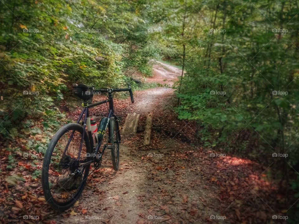 Brasov-Romania Adventure biking in the colorful autumn forest