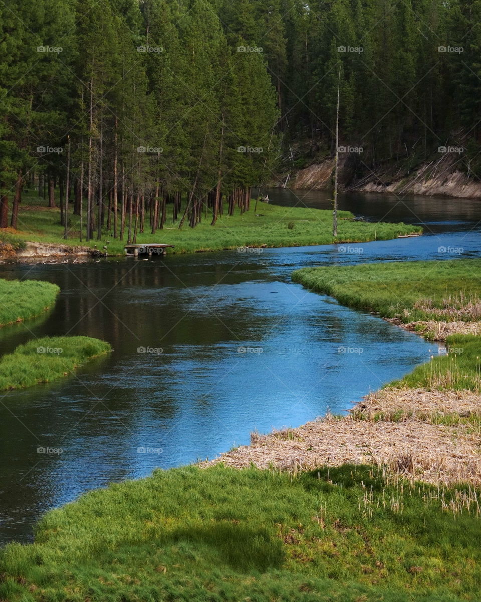 The beautiful waters of the Deschutes River in Central Oregon flowing through the forest in Central Oregon on a summer day 