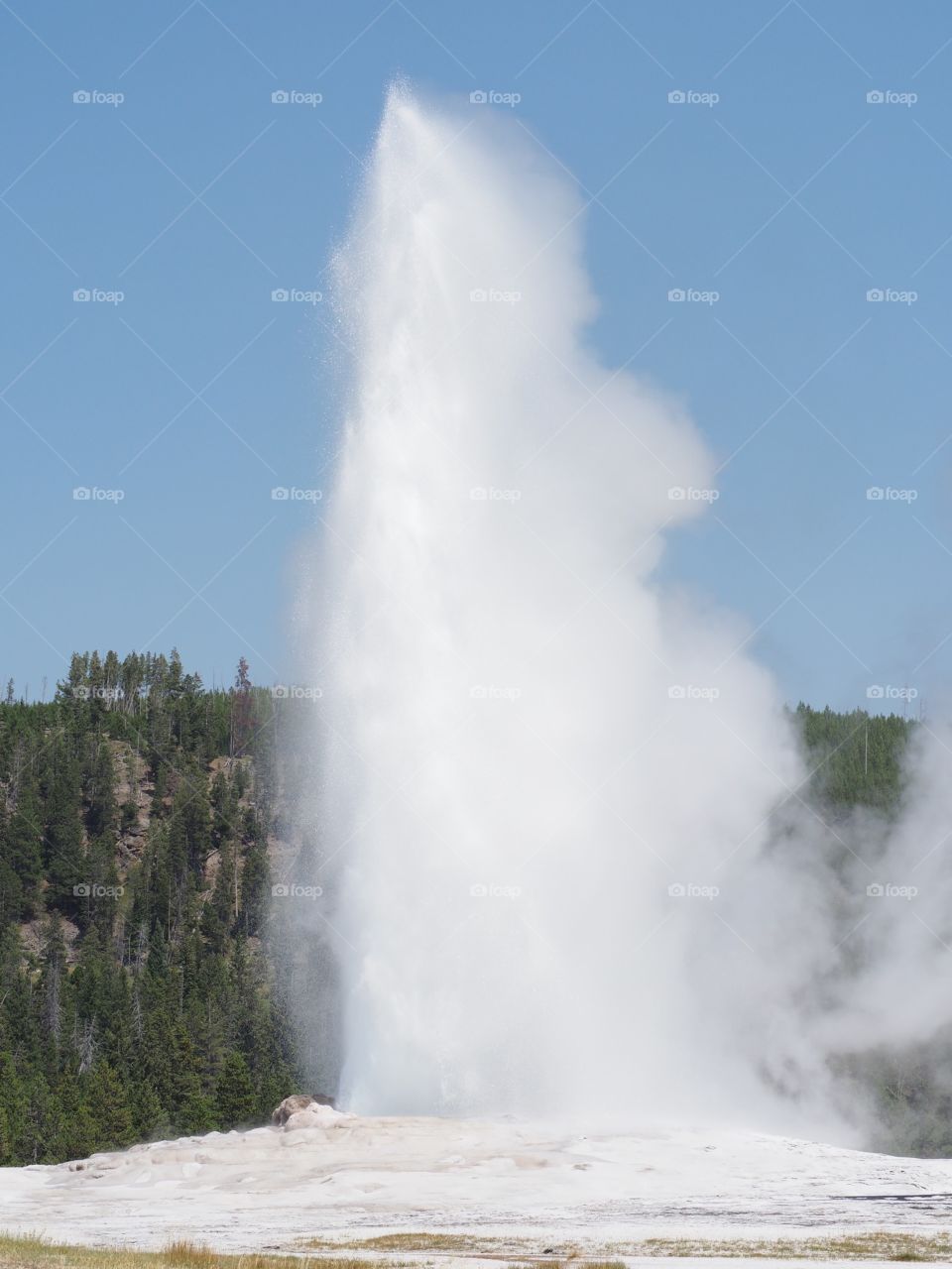 Old faithful 