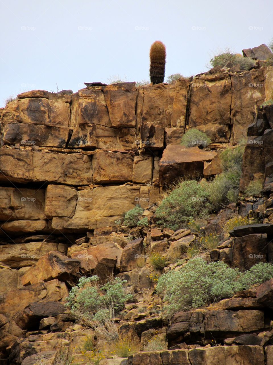 A view of the beautiful rock formations of the Grand Canyon while cruising the Colorado River.