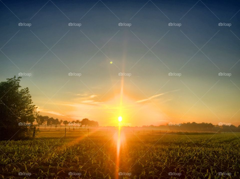 Countryside morningsun