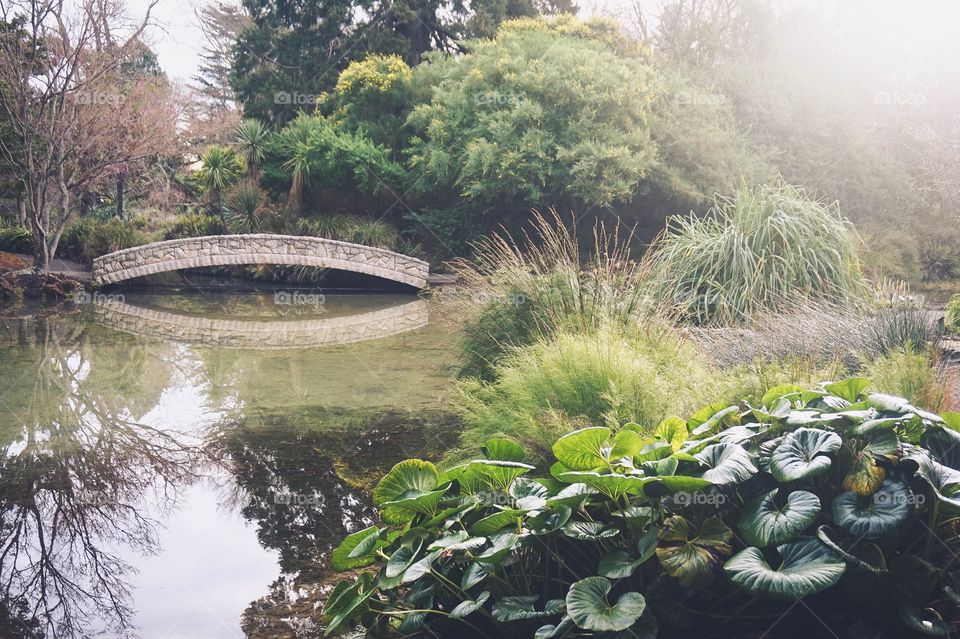 Beautiful green garden scene with bridge at Christchurch Botanic Gardens, New Zealand 