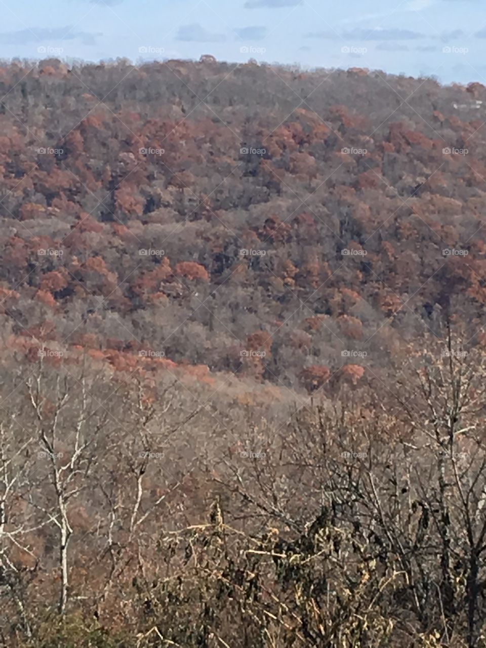 It’s all brown now a sign winter is on its way. This day was fairly warm but won’t last.
