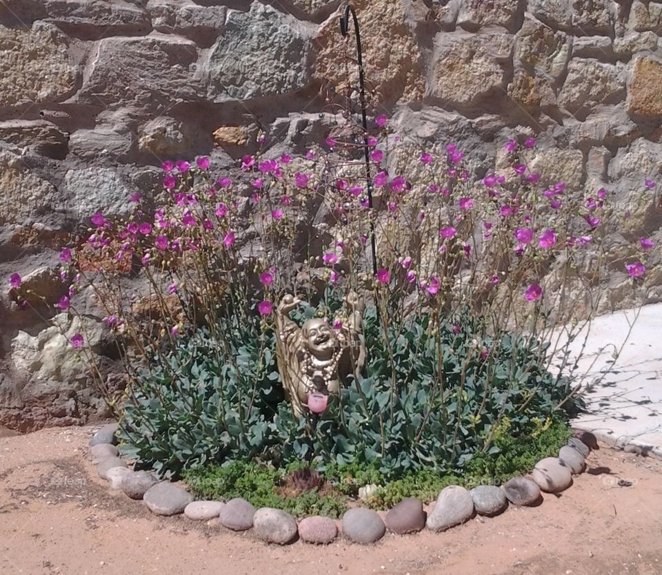 Laughing Buddha Statue in Garden of Flowers and Succulents