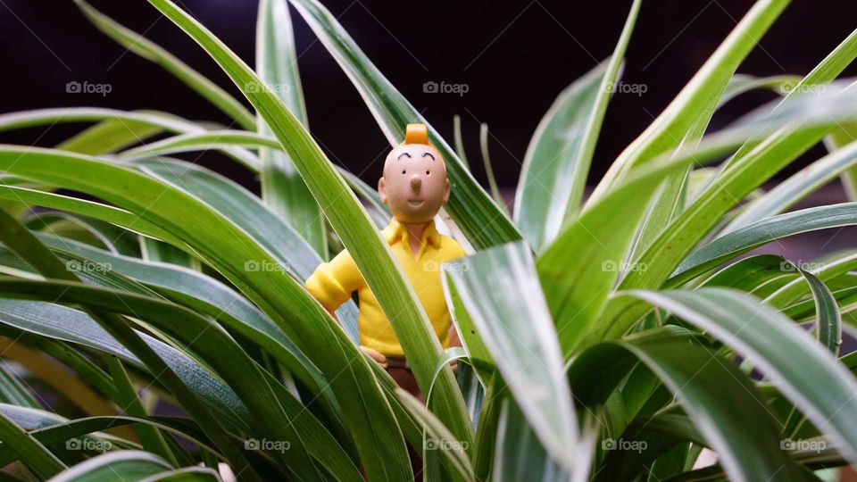 Tintin in the middle of nowhere