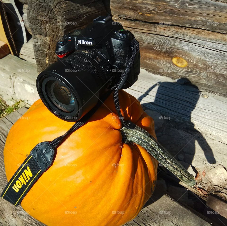 photo Nikon D90. Lying on the pumpkin.