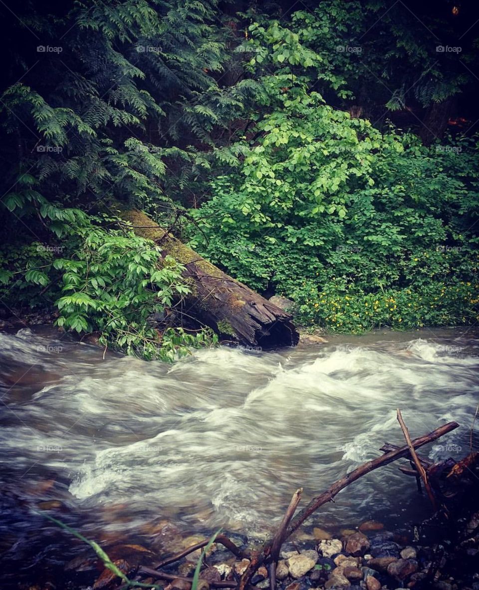 Flowing With Passion.