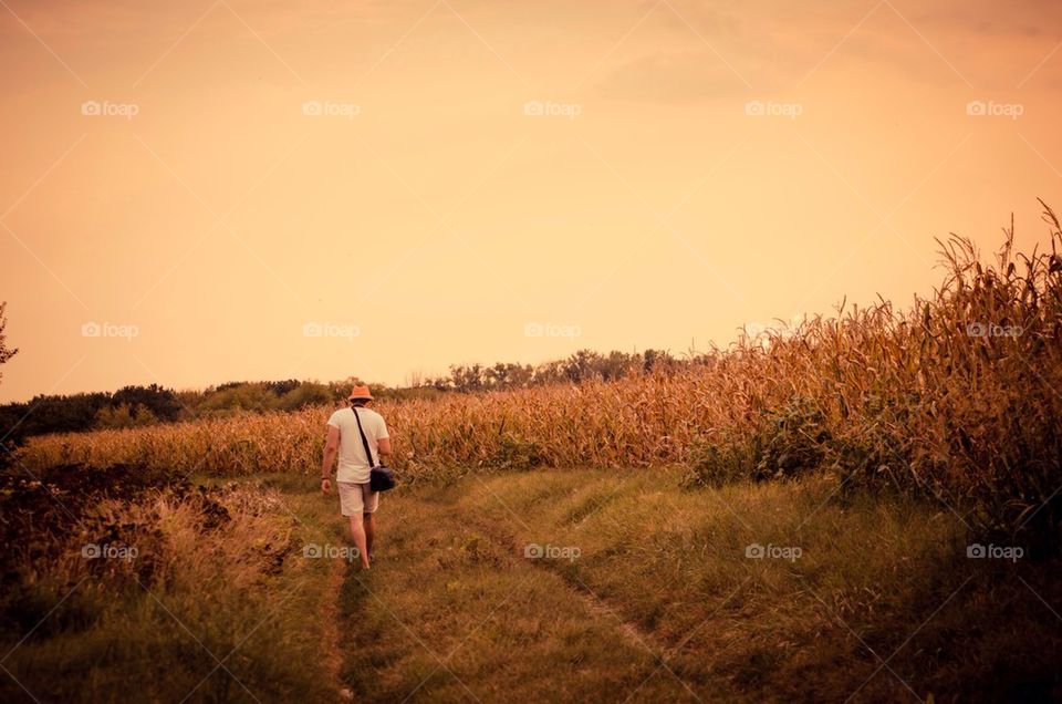 Man walking on field