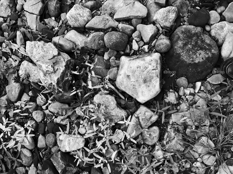 Creek stones and pebbles